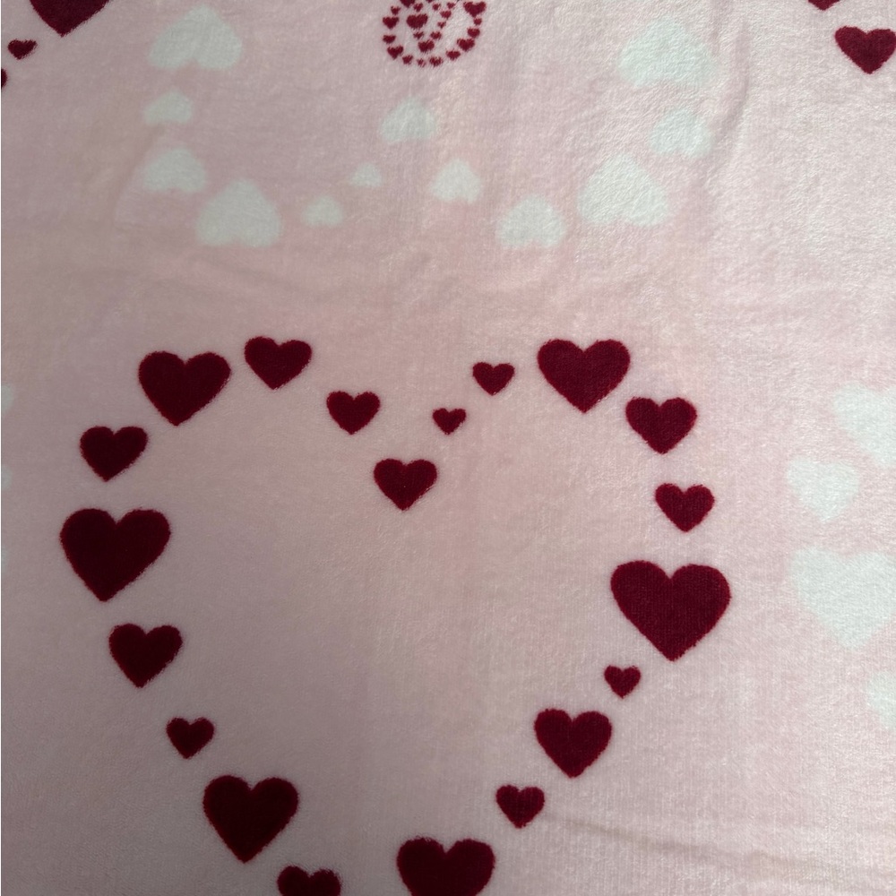 Victoria's Secret Pink Label Cozy Throw